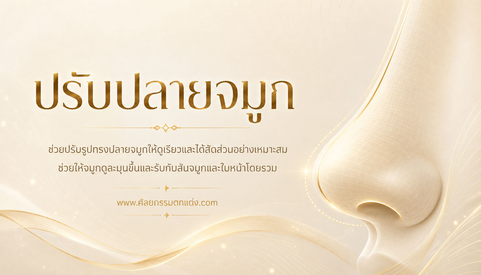 แก้ ปลาย จมูก ใหญ่ ราคา