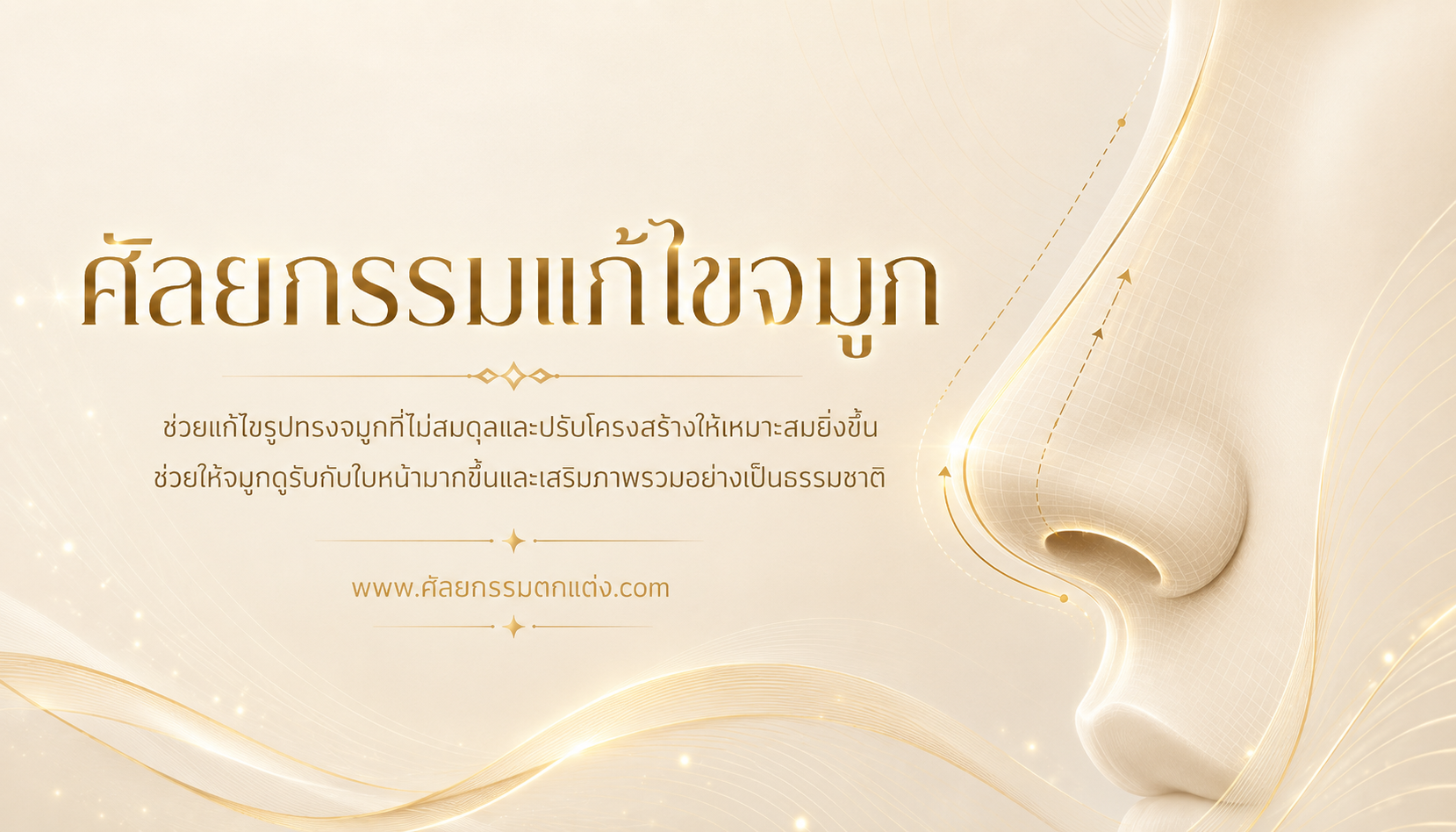 แก้จมูกราคากี่บาท